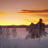 Jeris week 45 12-5797